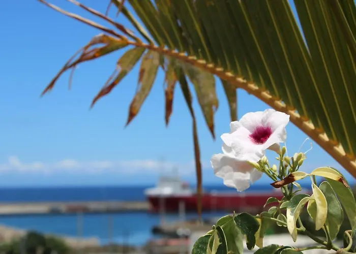 Terraza Del Atlantico, Un Oasis En La Ciudad Apartmán Santa Cruz de Tenerife