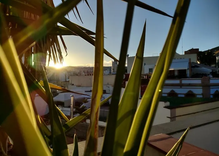 Apartment Terraza Del Atlantico, Un Oasis En La Ciudad Santa Cruz de Tenerife