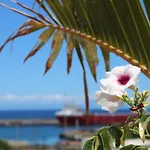 Terraza Del Atlantico, Un Oasis En La Ciudad Διαμέρισμα Σάντα Κρουζ Τενερίφης