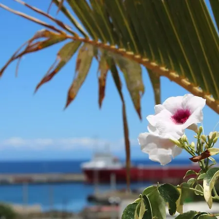 Terraza Del Atlantico, Un Oasis En La Ciudad アパート サンタクルスデテネリフェ